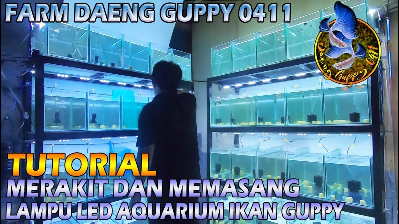 TUTORIAL MERAKIT DAN MEMASANG LAMPU LED AQUARIUM IKAN GUPPY