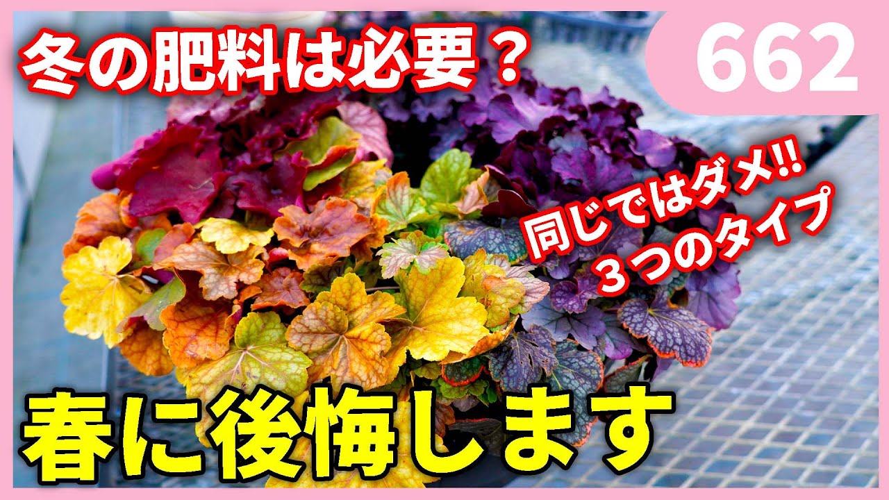 【重要】冬の肥料について　ｂｙ園芸チャンネル662 園芸 ガーデニング 初心者