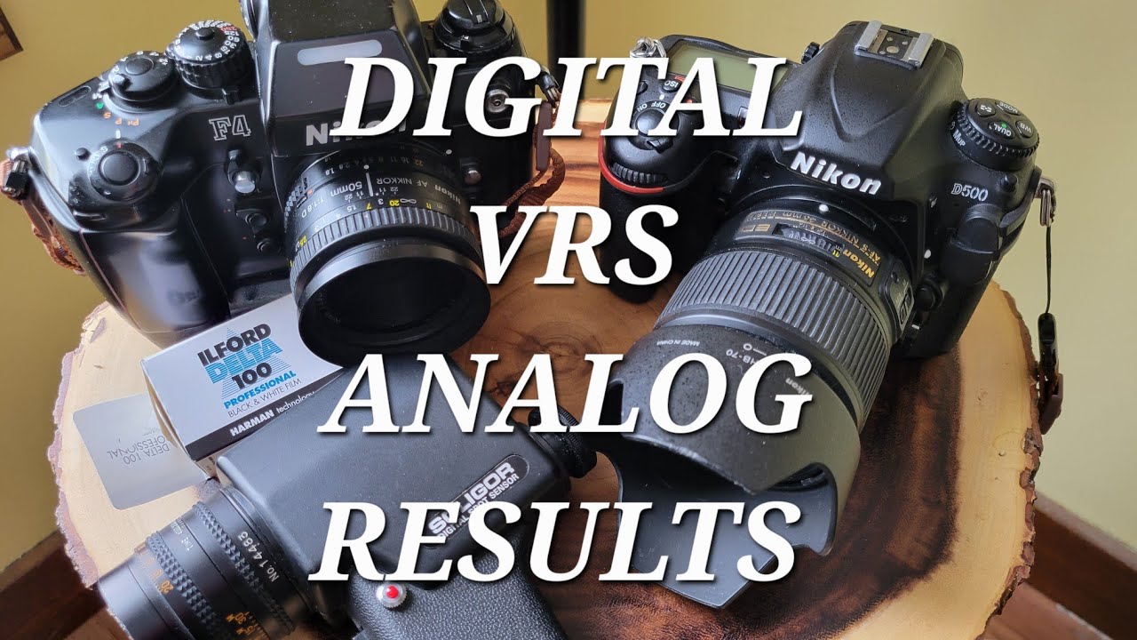 NIKON D500/ NIKON F4 with Ilford Delta 100 Digital vrs Analog  comparison.