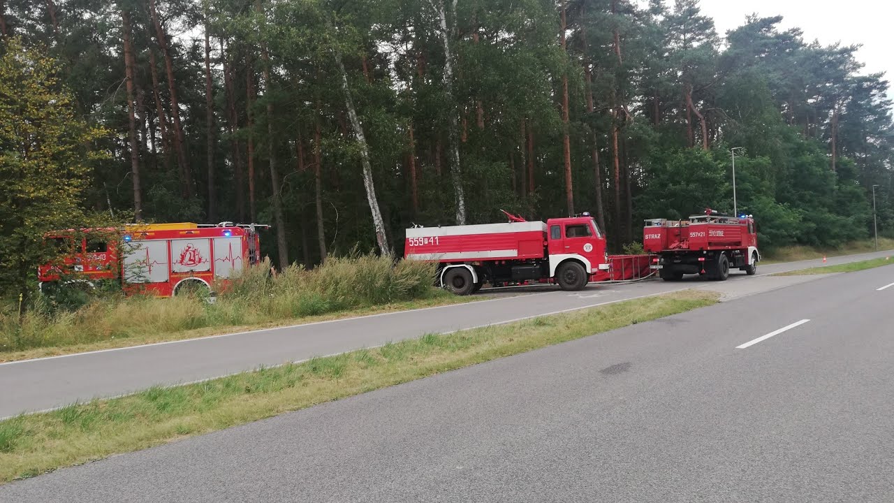 [POŻAR LASU PRZY PŁOTKACH] [ALARMOWO JEDNOSTKI PSP I OSP] [DWIE SEKCJE Z OSP KACZORY I SZYDŁOWO]