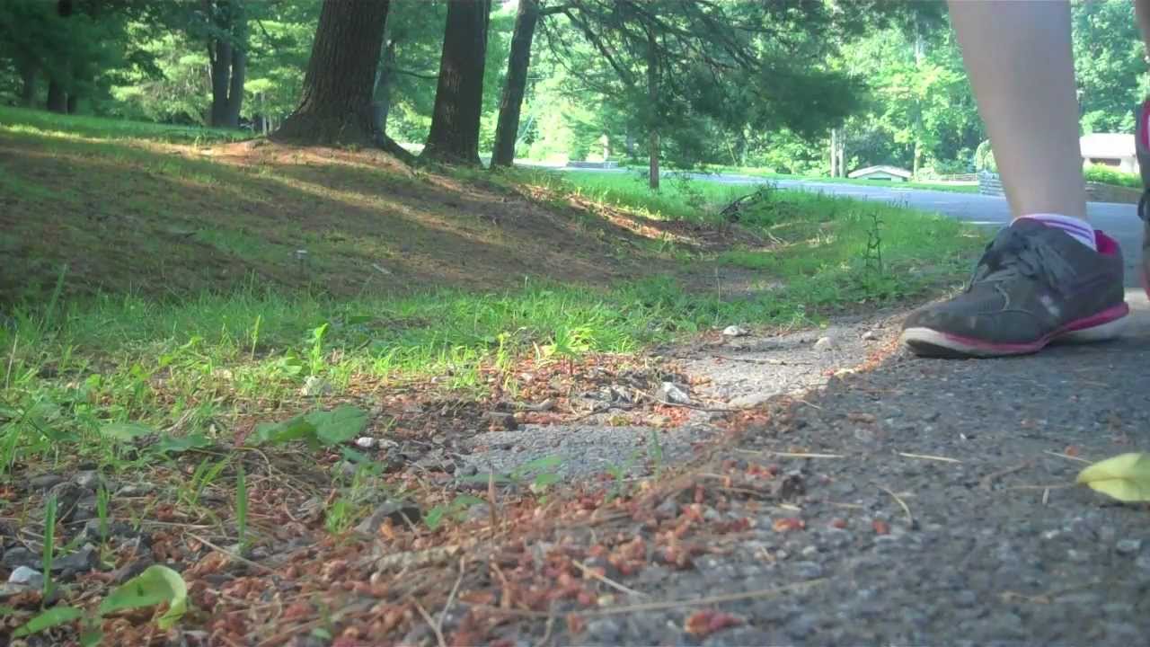 Lost in the Wilderness