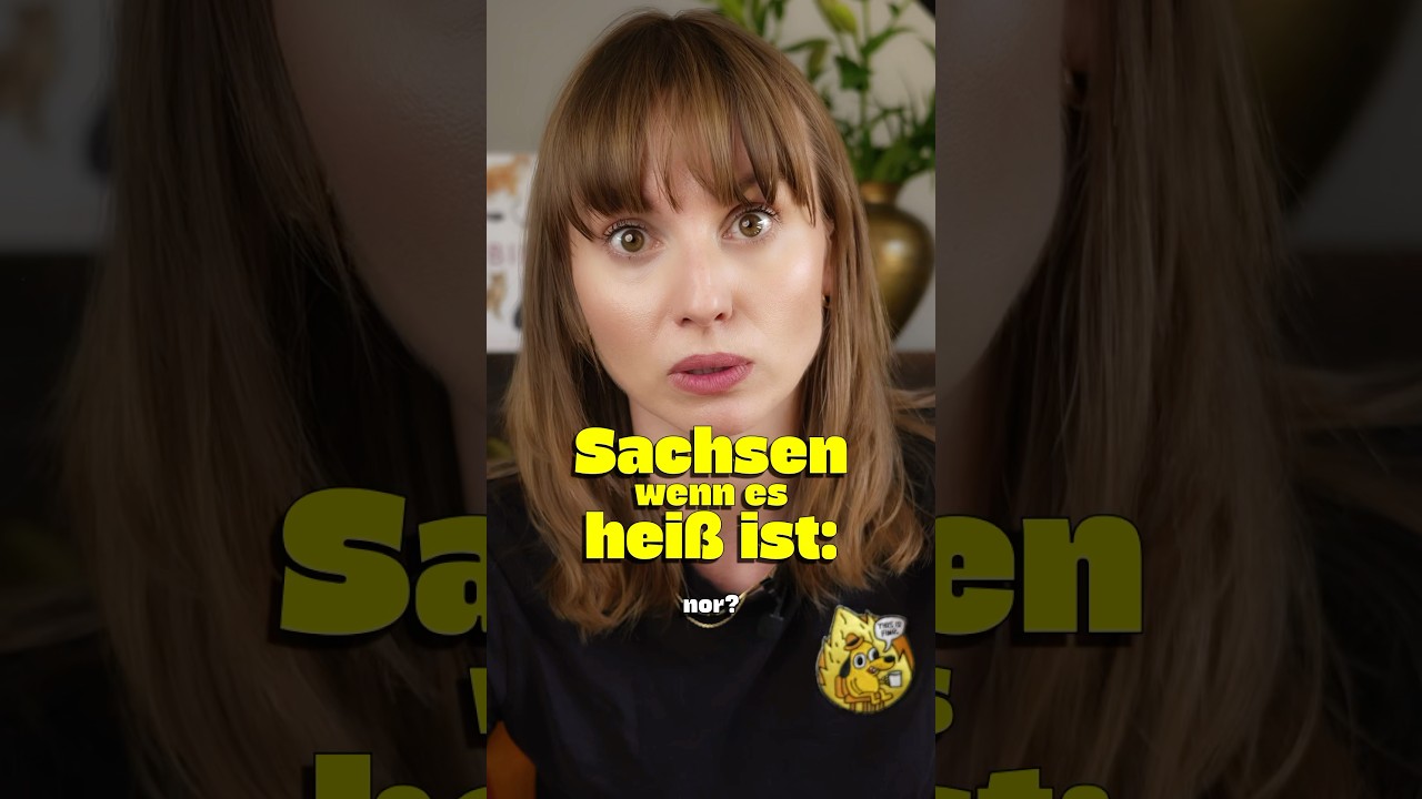 Sommerhitze, aber in Sachsen 😂🔥 #comedy #dialekt #sachsen