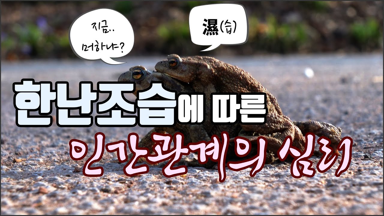 사주팔자 한난조습으로 본 인간관계의 심리