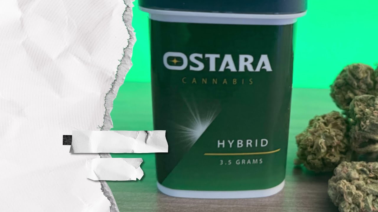 Missouri Strain Review Ostara 3 Bears x Gorilla Glue