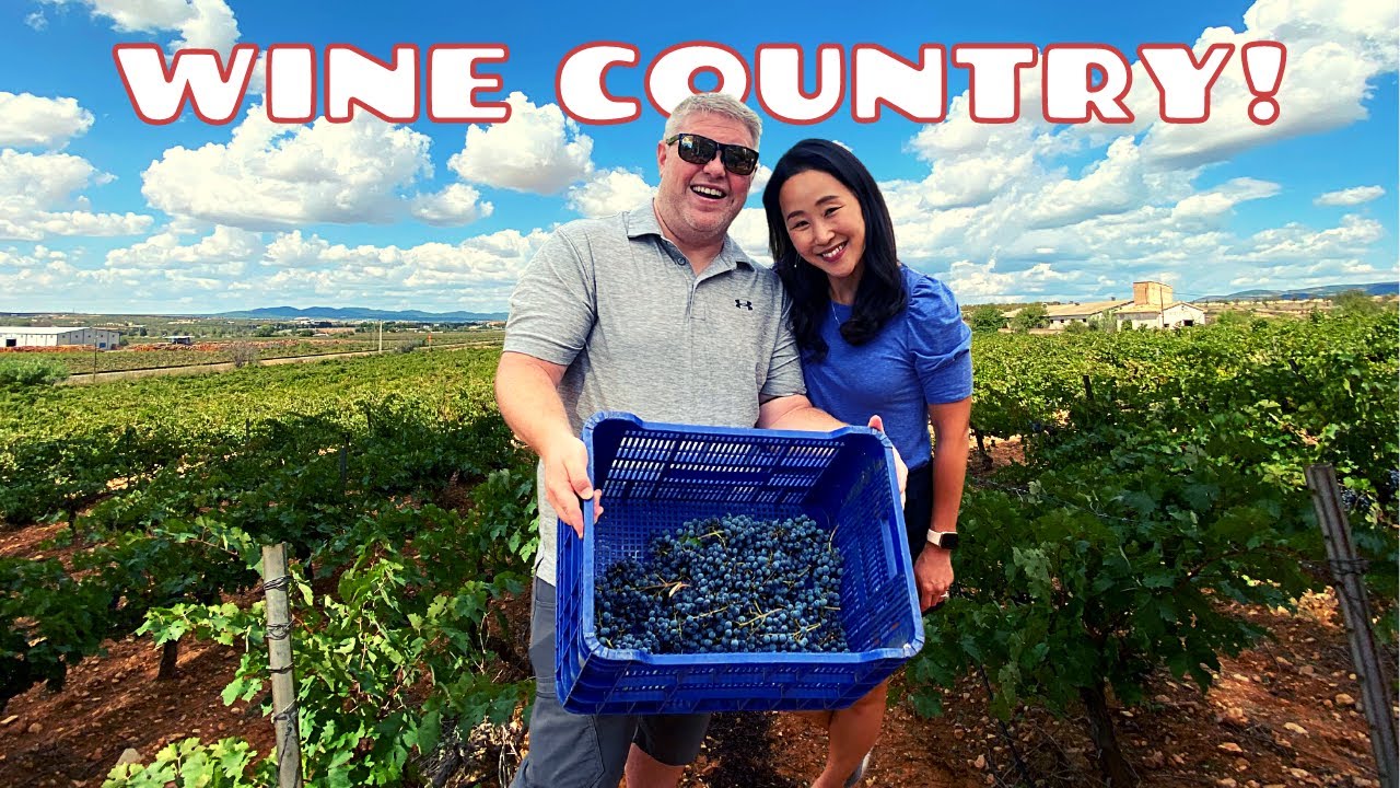A Valencia Spain Wine Country Tour - (Requena-Utiel)