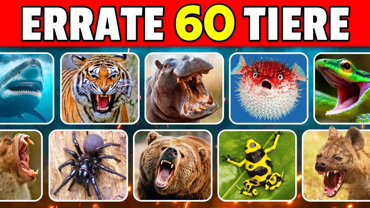 Errate 60 gef&auml;hrliche Tiere in 3 Sekunden 🐯🐍🦈 | EINFACH bis UNM&Ouml;GLICH