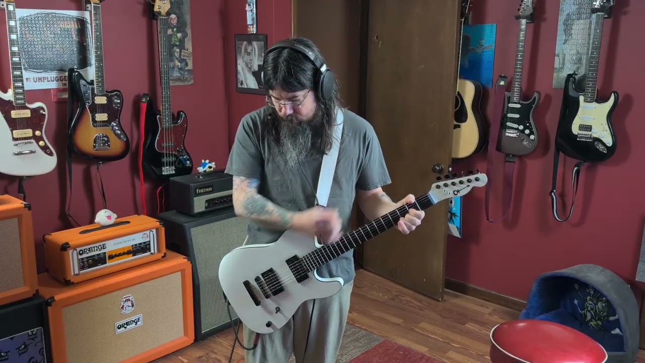 What the Hell have I - Alice in Chains (Guitar Cover)