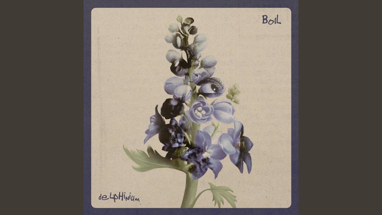 Delphinium