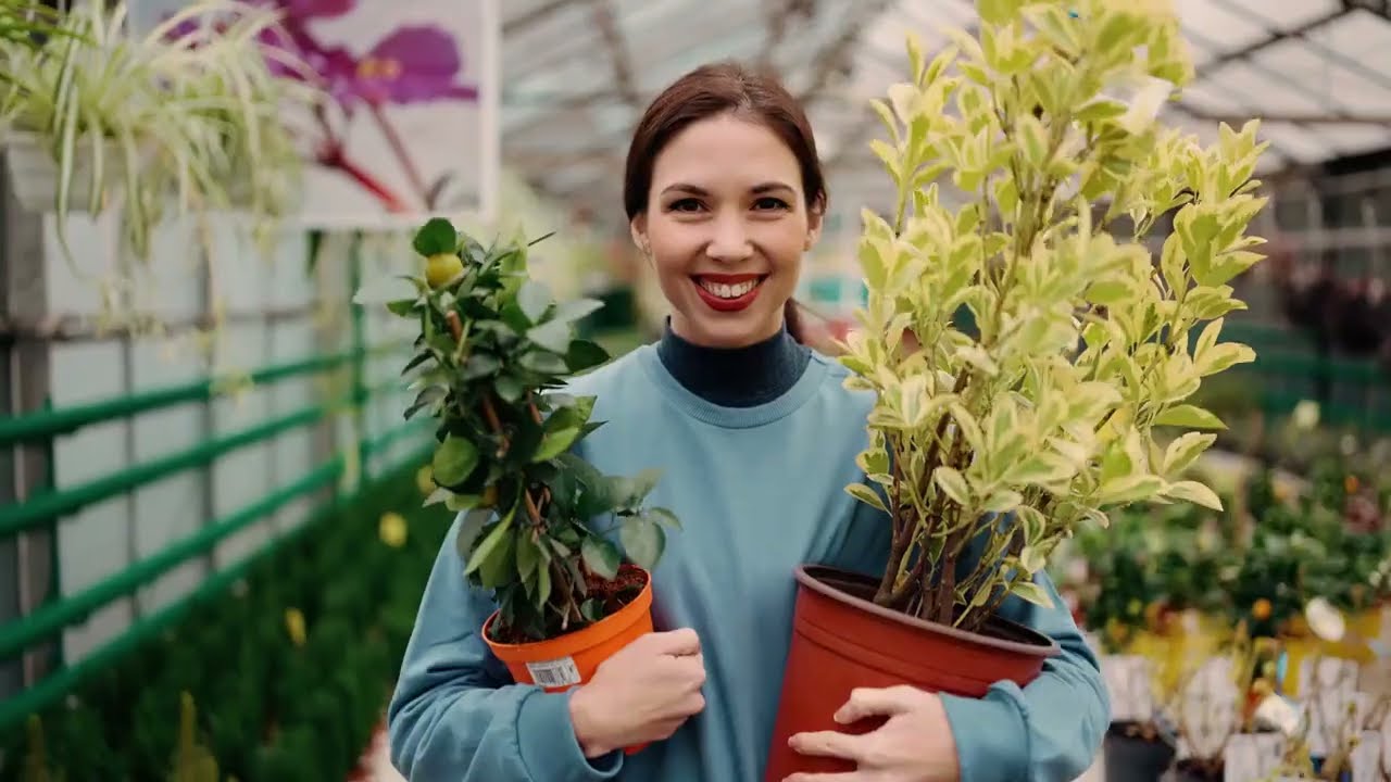 12 Easy Ways To Reduce Water Usage