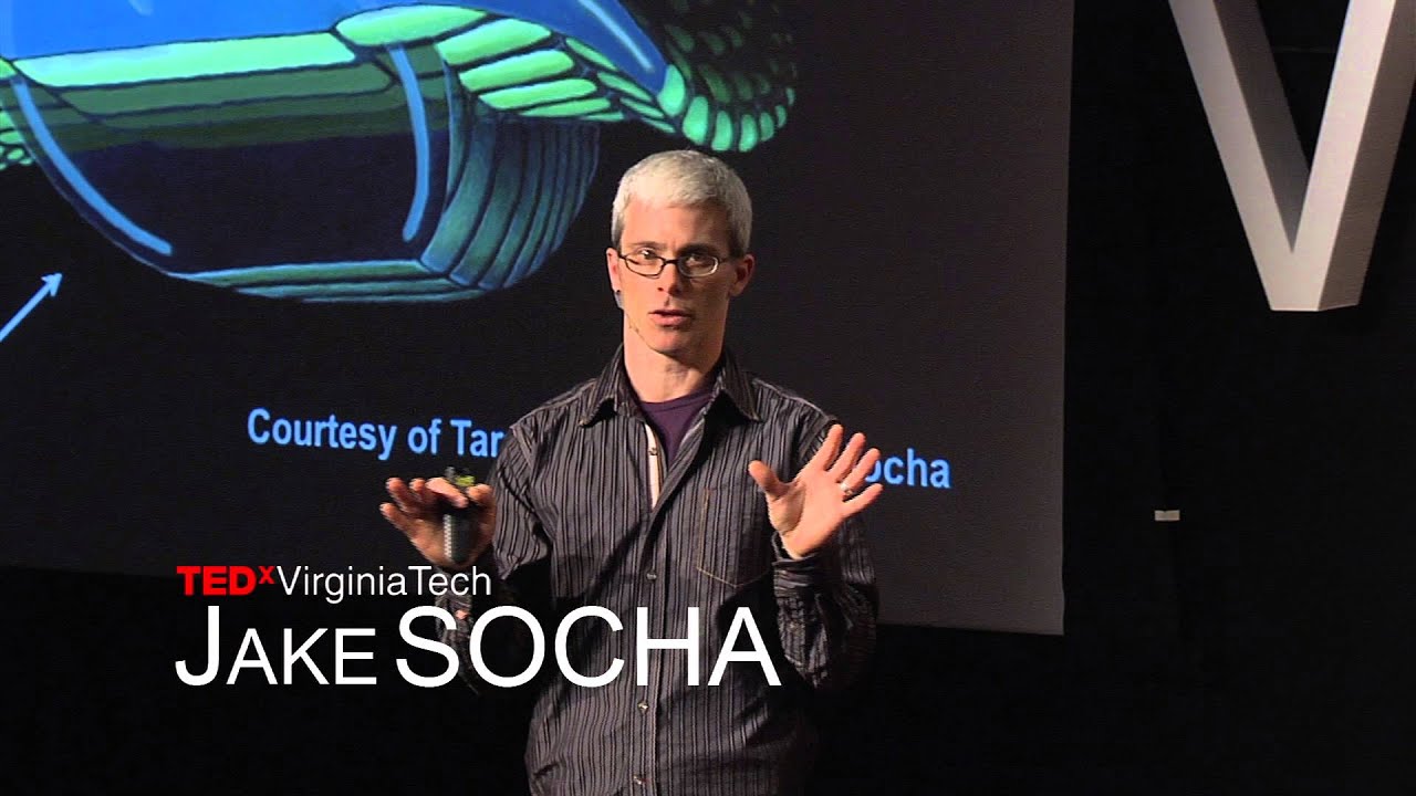Snakes that fly -- really | Jake Socha | TEDxVirginiaTech