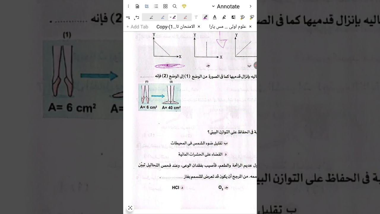 حل الأختبار الثانى عشر كتاب الأضواء علوم متكاملة للصف الأول الثانوى