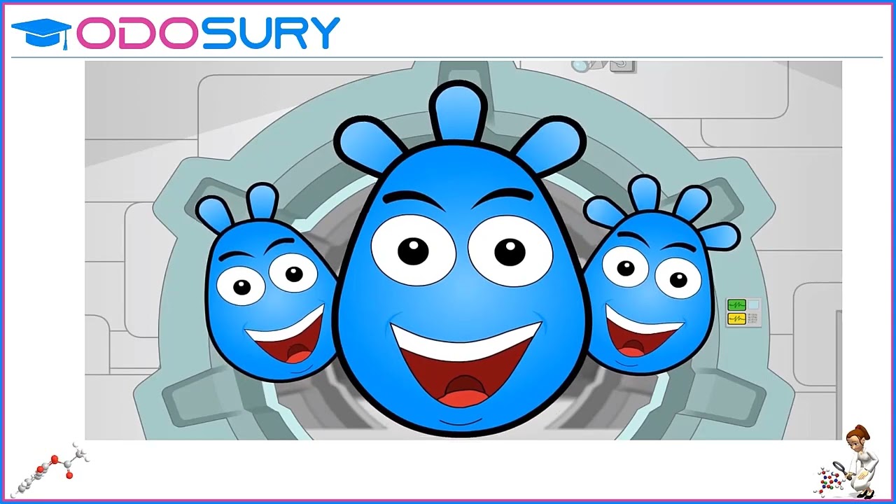 Органик нэгдлийн бүтэц