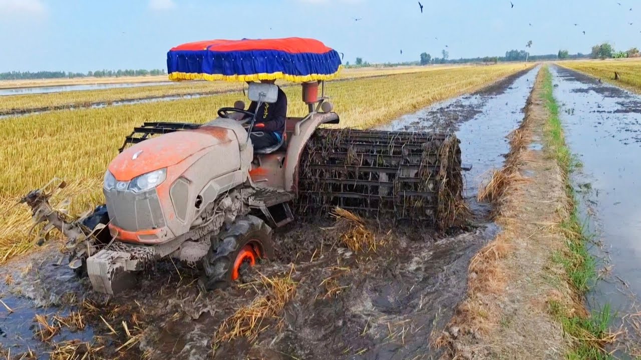 Gặp e trai ở Vĩnh Hưng xuống xới kubota 5018