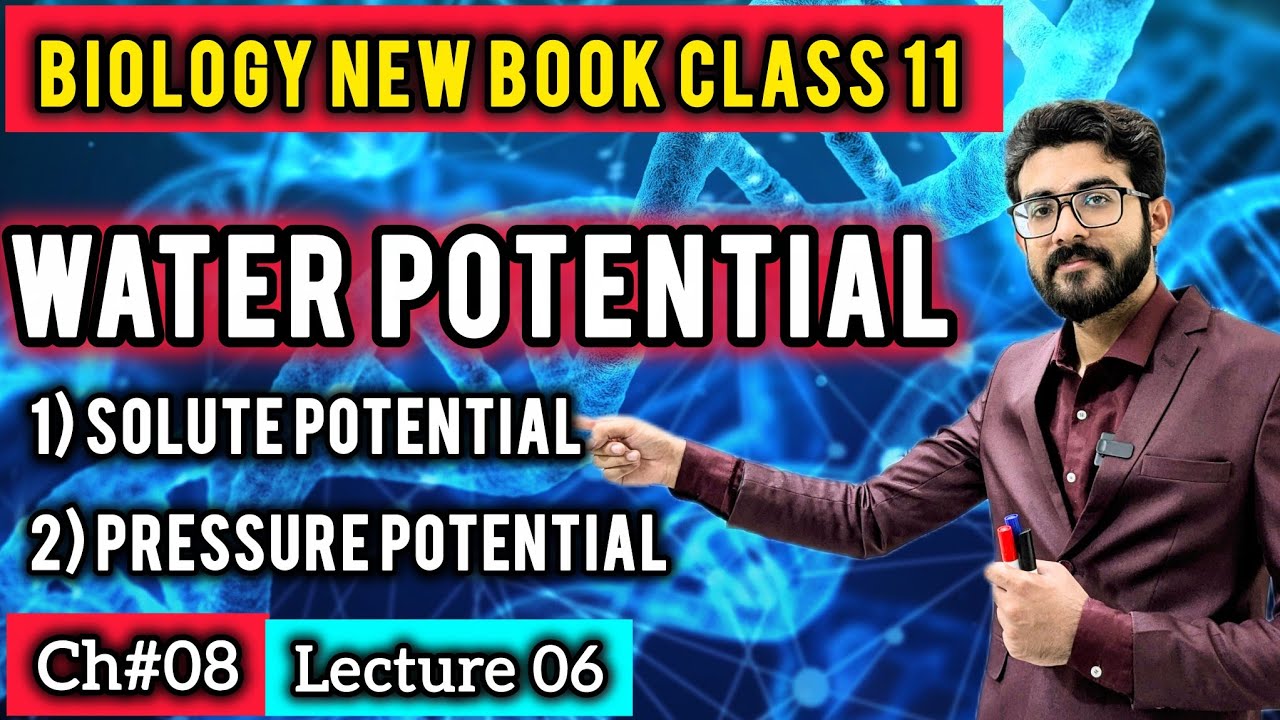 Water Potential: Solute Potential & Pressure Potential | Class 11 Biology New Book