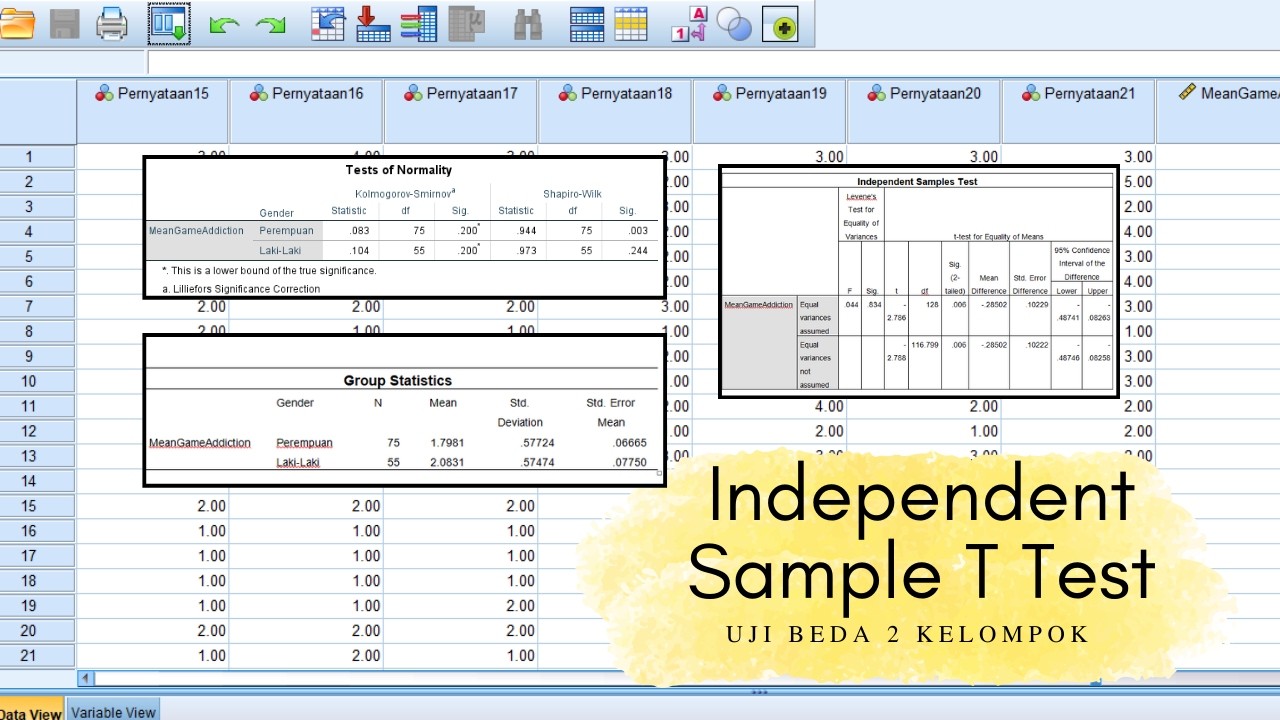 Uji Beda 2 Kelompok Parametrik Independent Sample T Test
