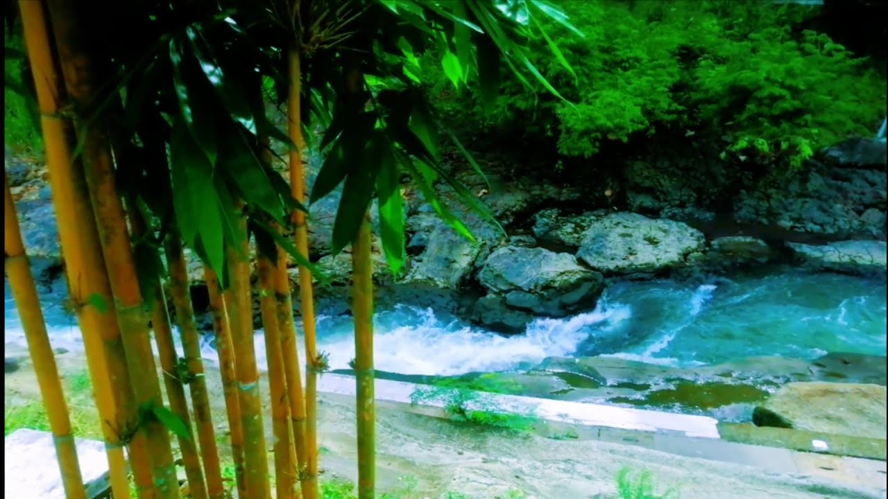 Deep Relaxation with Peaceful River Sounds  Calming Water Flow.