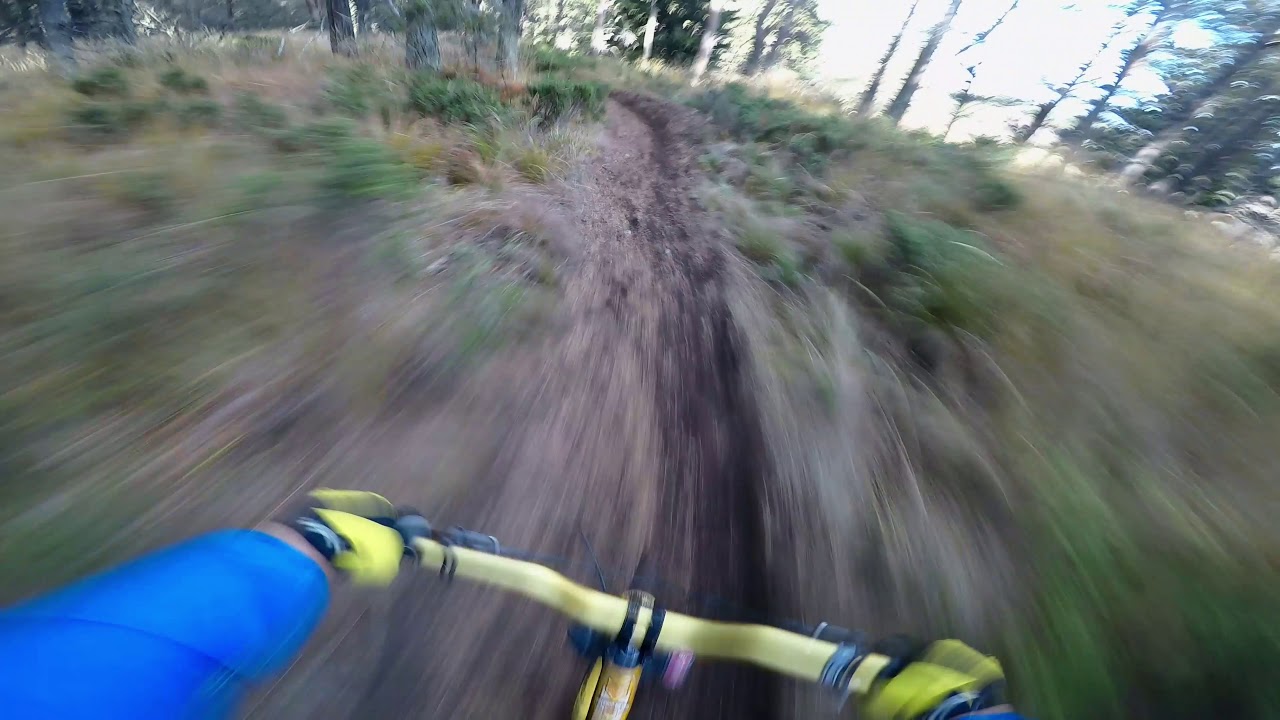 Vitosha Goli Vrah Downhill Trail [27.10.2018]