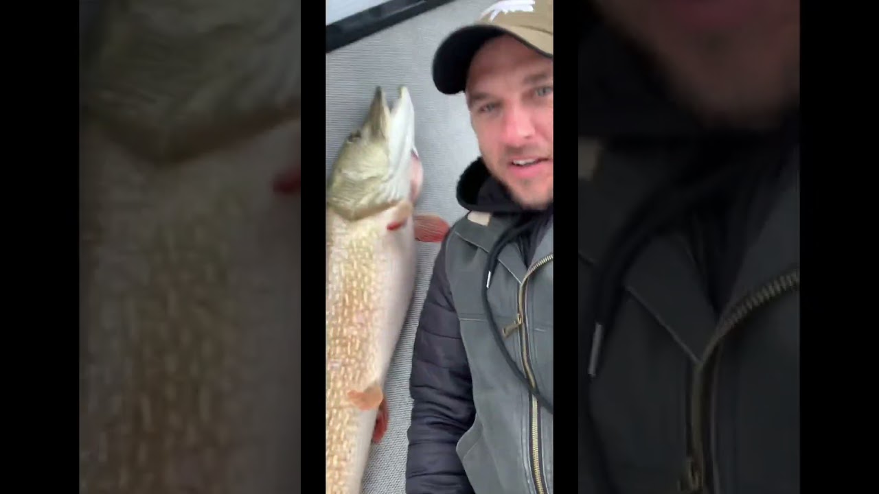 Big Pike are angry fish 