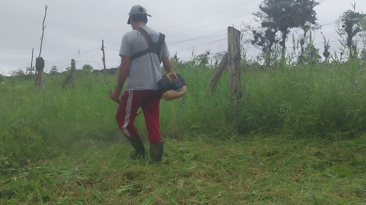 Jardineiro é assim tem que ser bom no que faz