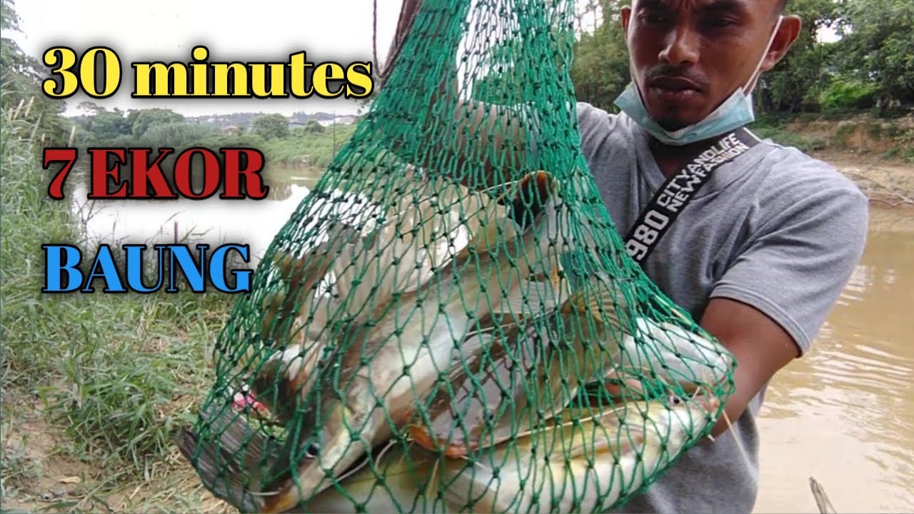 MANCING IKAN BAUNG // sungai selangor // sarang baung