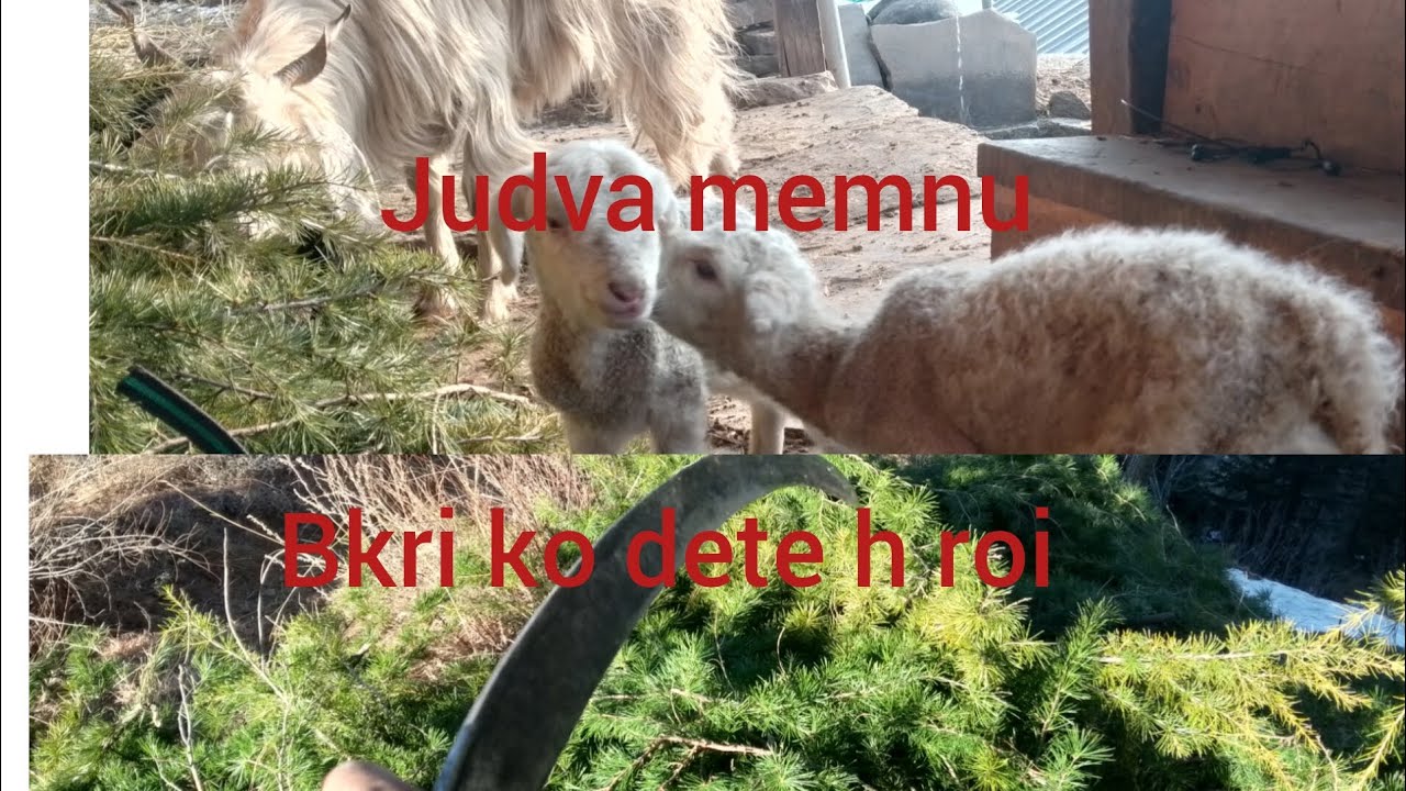 Itna Kam Krna pdta h 😰😰🙁ate hi yhan dekho inki sena😄😄