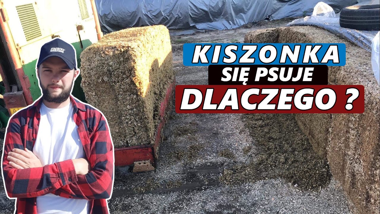 DLACZEGO TWOJA KISZONKA SIĘ PSUJE ?