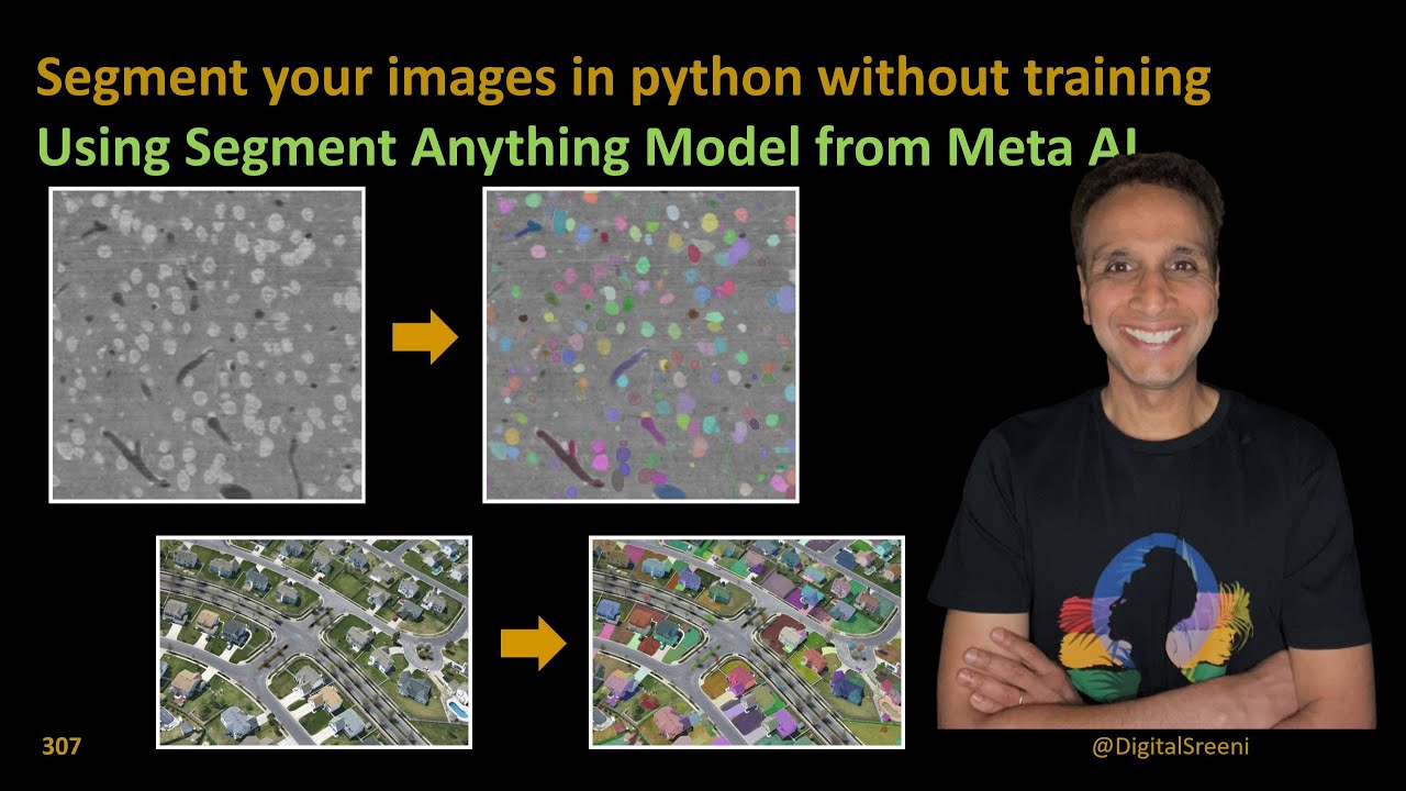 307 — Сегментируйте изображения в Python без обучения с помощью модели Segment Anything (SAM)