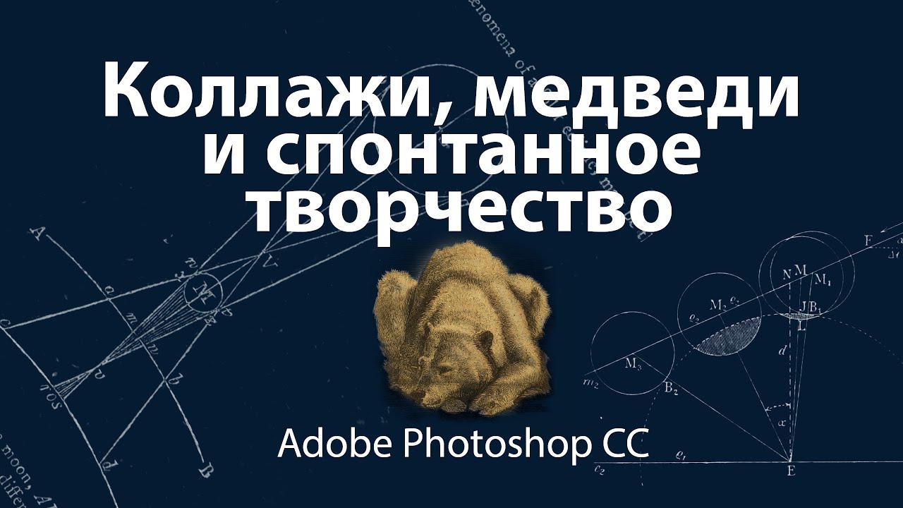 Коллажи, медведи и спонтанное творчество в Adobe Photoshop CC