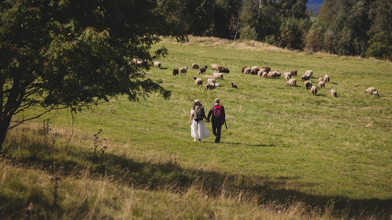 L&P pulmad Ida-Virumaal | Pulmafotograaf Valdur Rosenvald