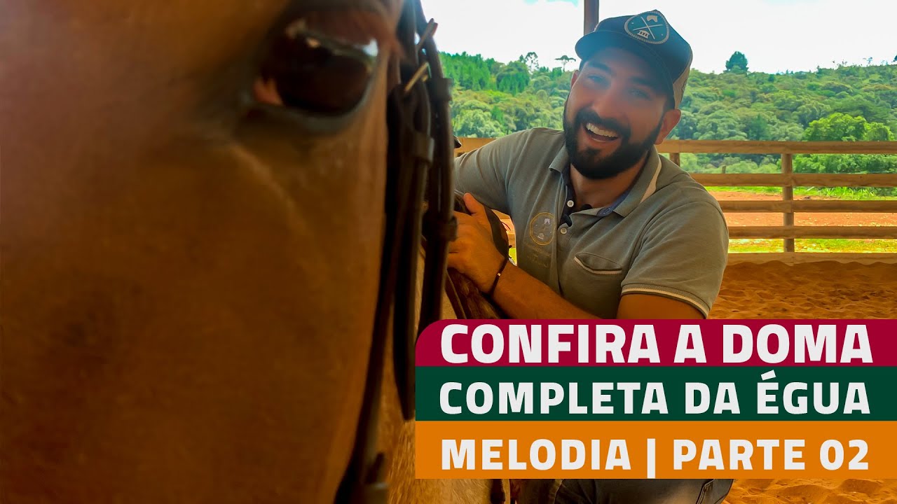 PASSO A PASSO DOMA MELODIA | PARTE 02