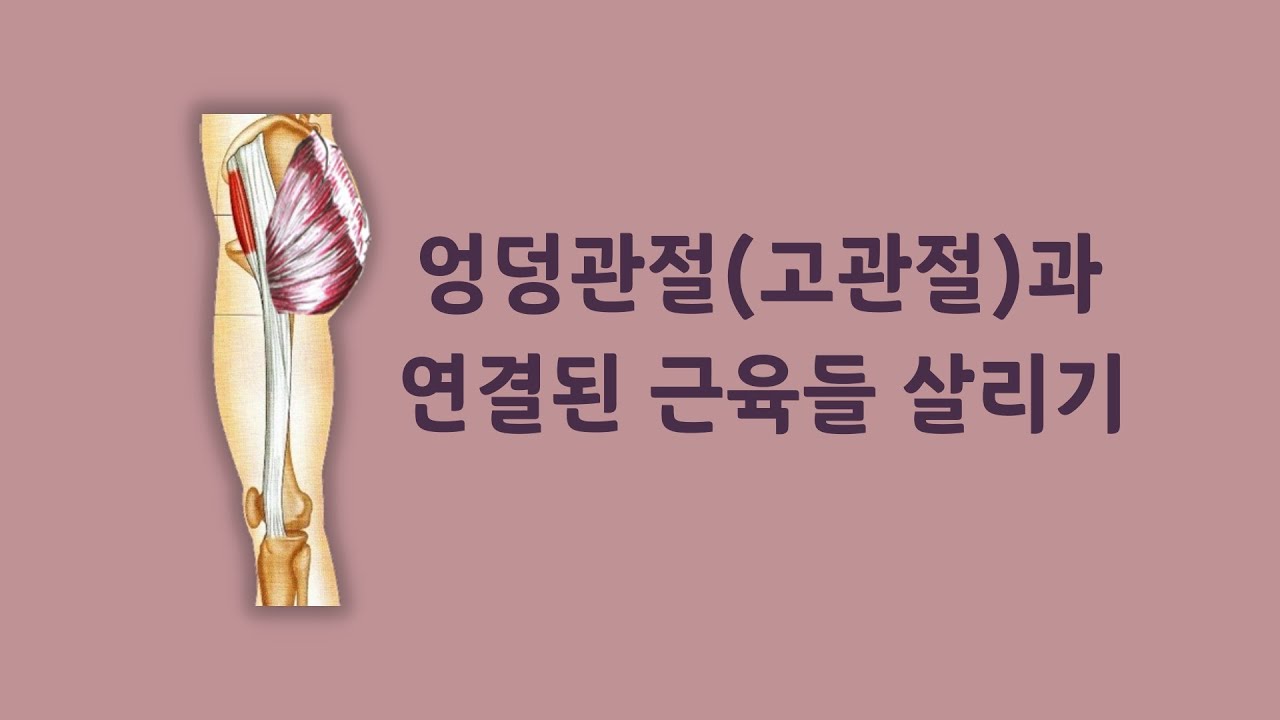 [ 마름모코어 시즌 2-91 ] 코어부터 엉덩관절 사용해 골반 균형 맞추며 중력선에 바로 서기