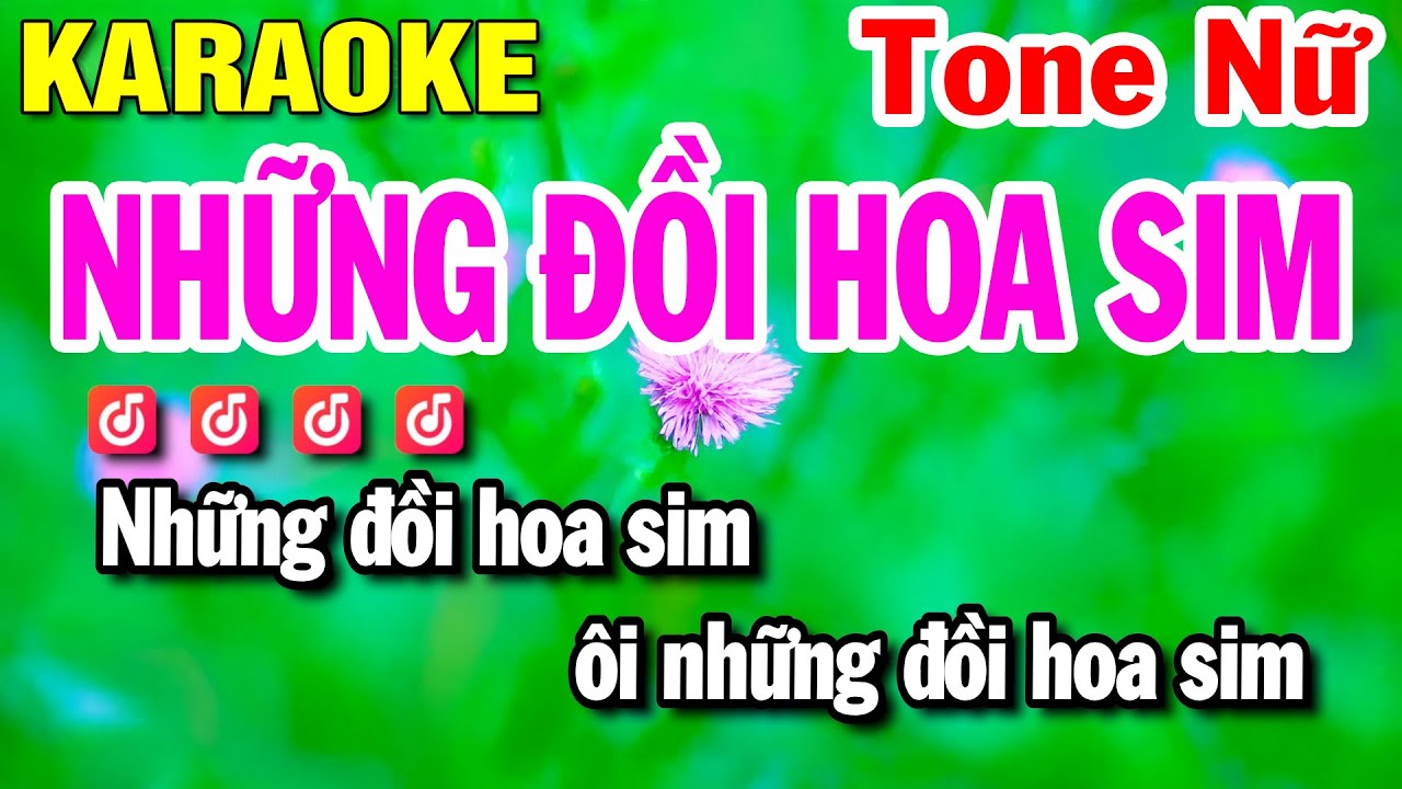 Karaoke Những Đồi Hoa Sim Nhạc Sống Tone Nữ | Beat Huỳnh Lê