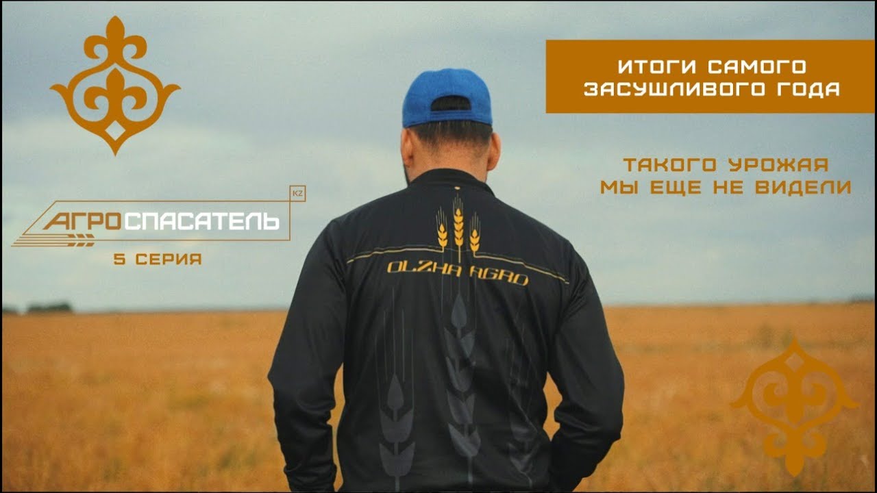 Итоги самого засушливого года. Такого урожая мы еще не видели | АГРОСПАСАТЕЛЬ 5 СЕРИЯ