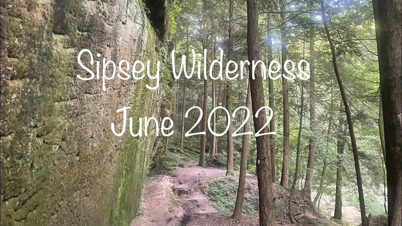 Sipsey Wilderness, Alabama - June 2022