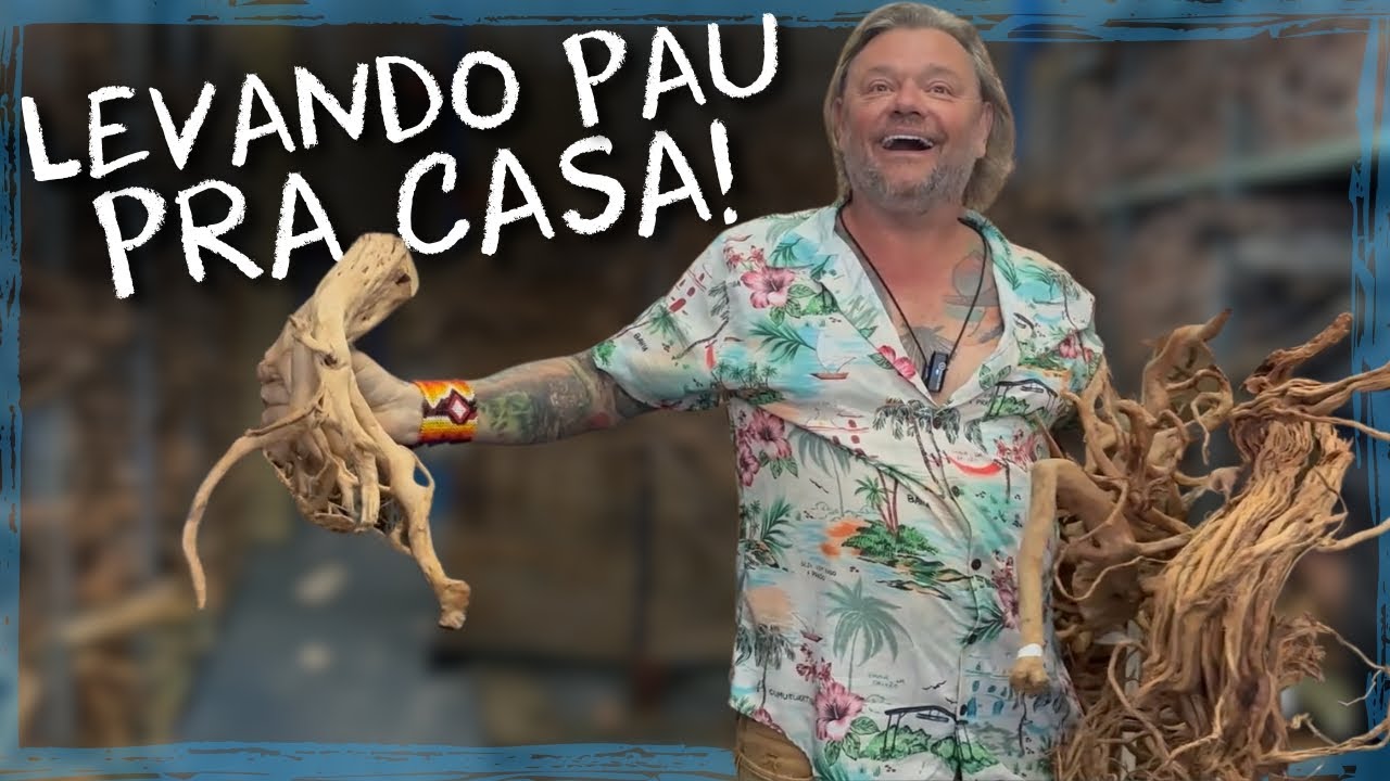 NOVOS ORNAMENTOS PARA OS AQUARIOS | A CASA DOS BICHOS