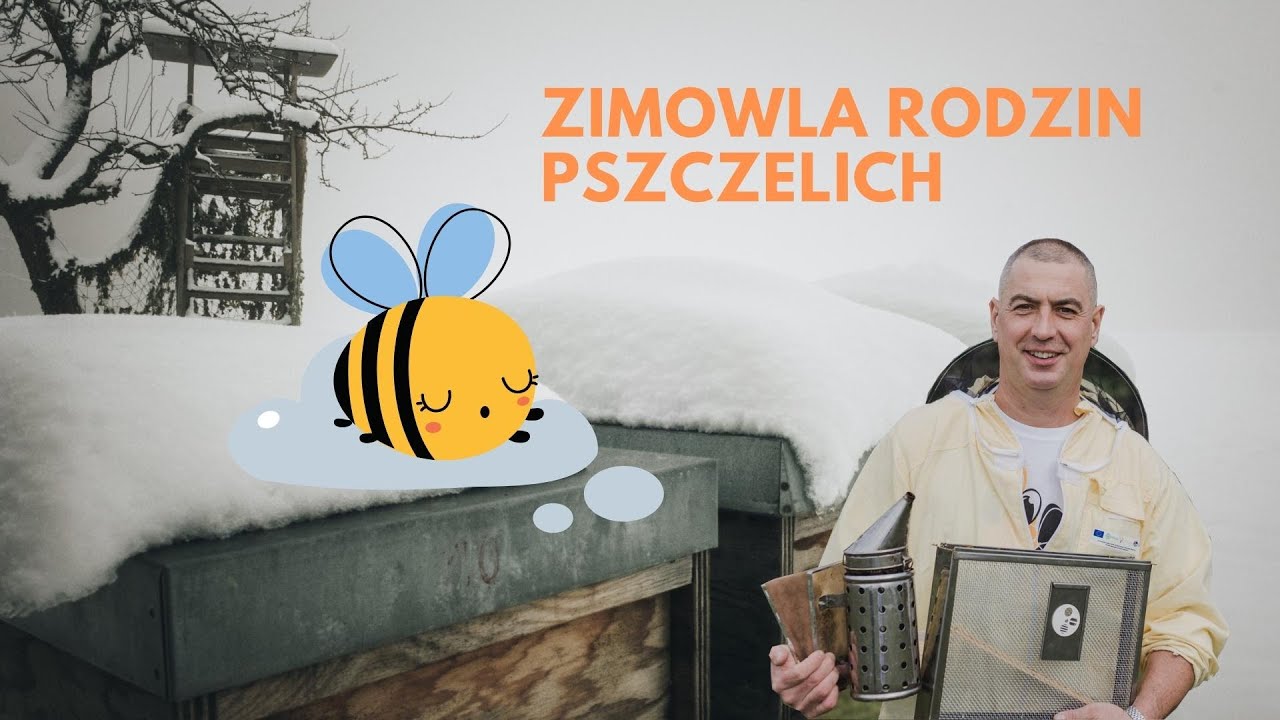 Zimowla rodzin pszczelich. Odcinek 5. cyklu - Jak zostać pszczelarzem? Dr Dariusz Karwan