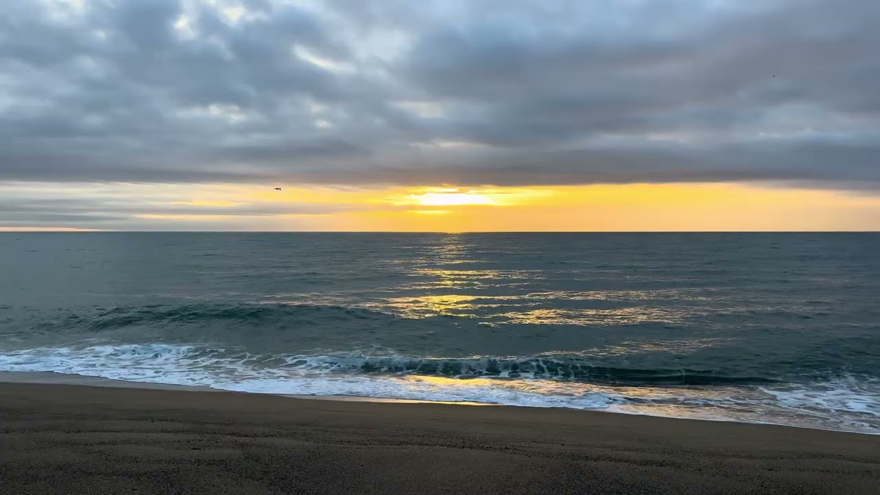 Sea sunrise 8/03/2026 
