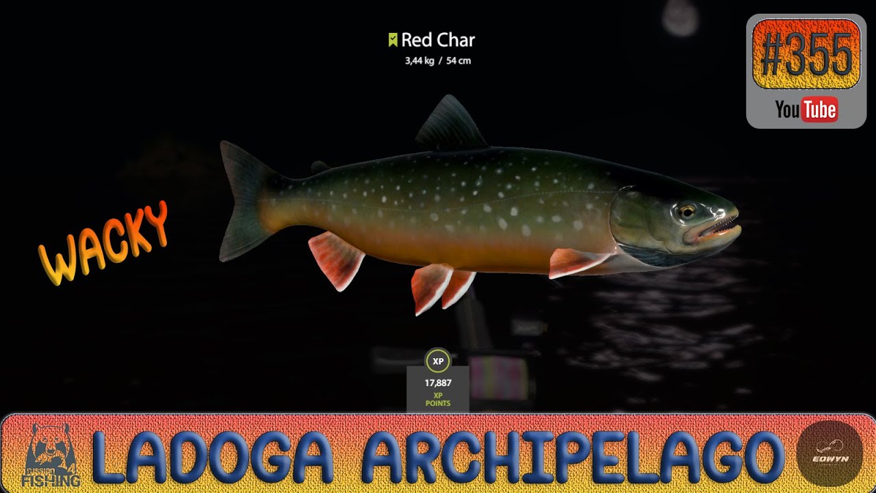 Russian Fishing 4 - Ladoga archipelago - Wacky - #355