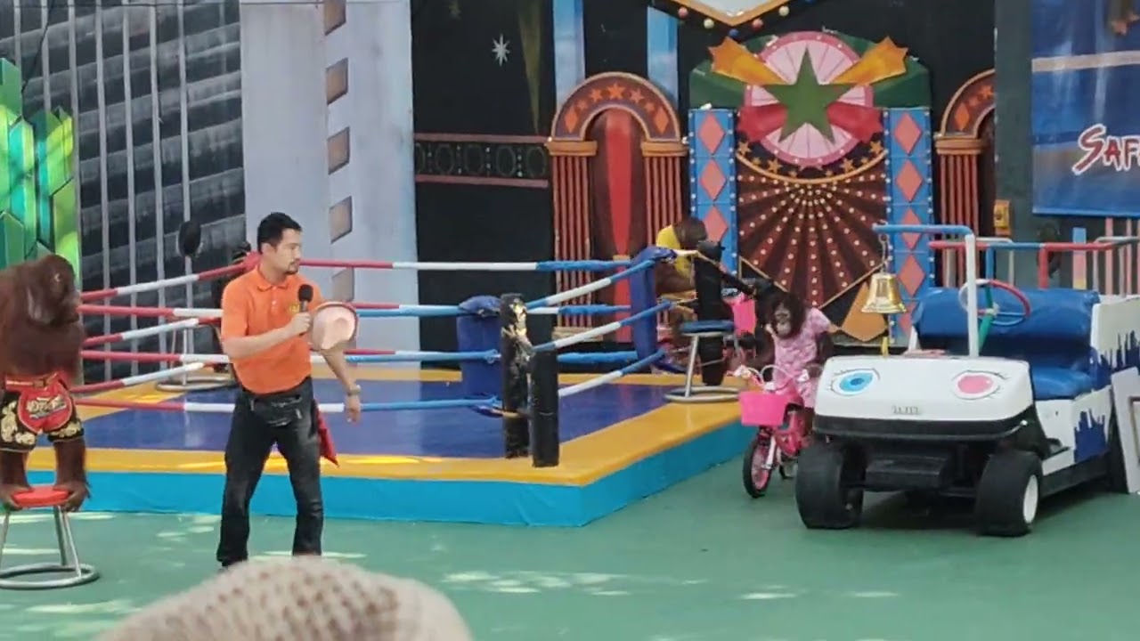 Thailand Monkey Show Full Video