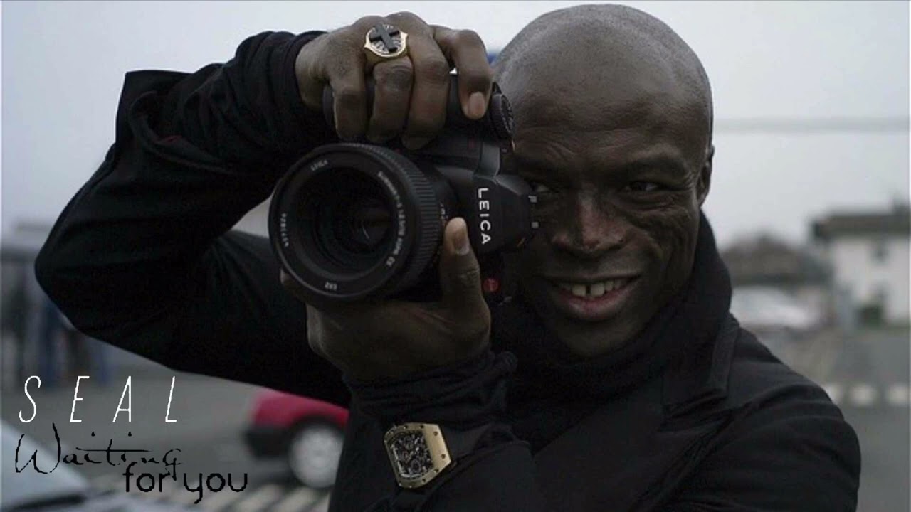 Seal - Waiting For You