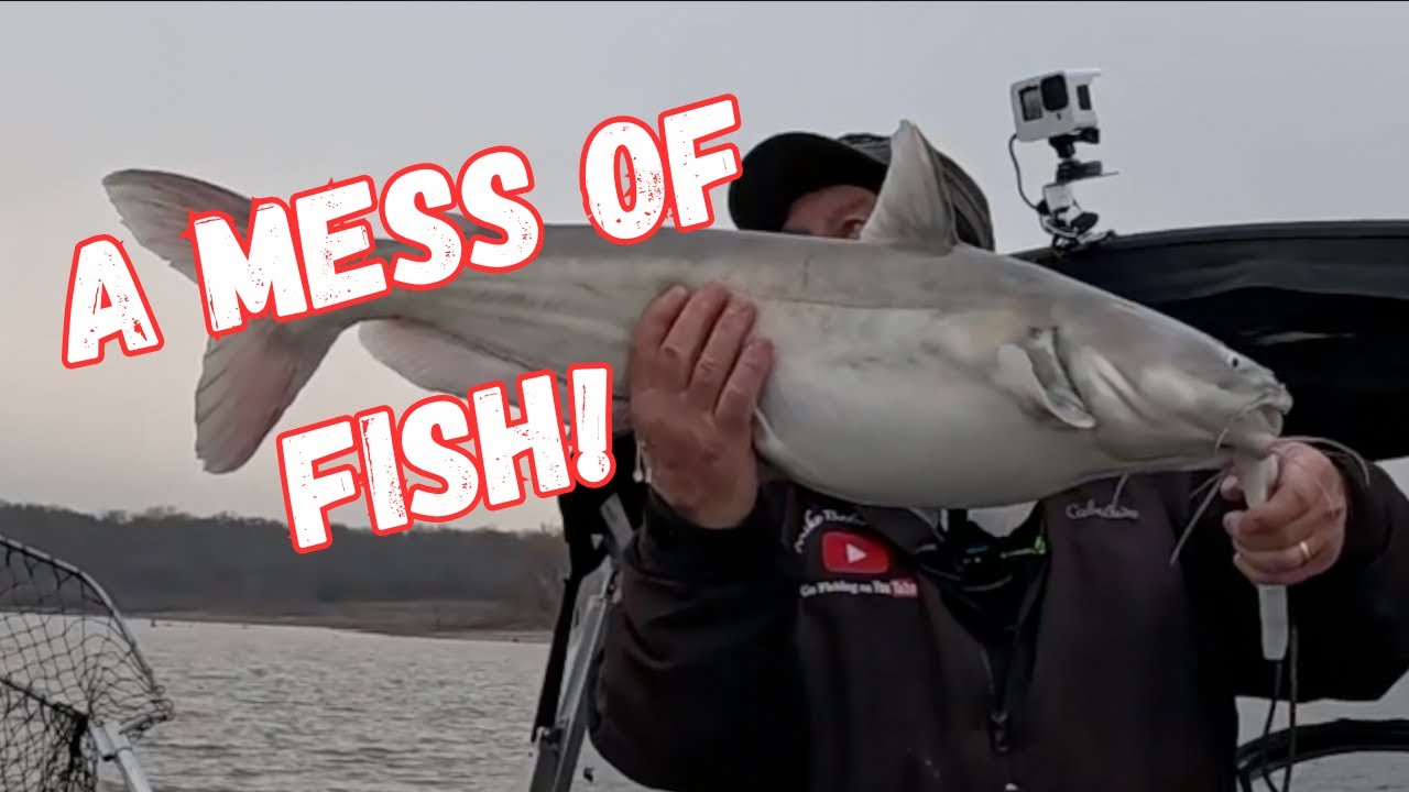 A 30 + CATFISH Day!