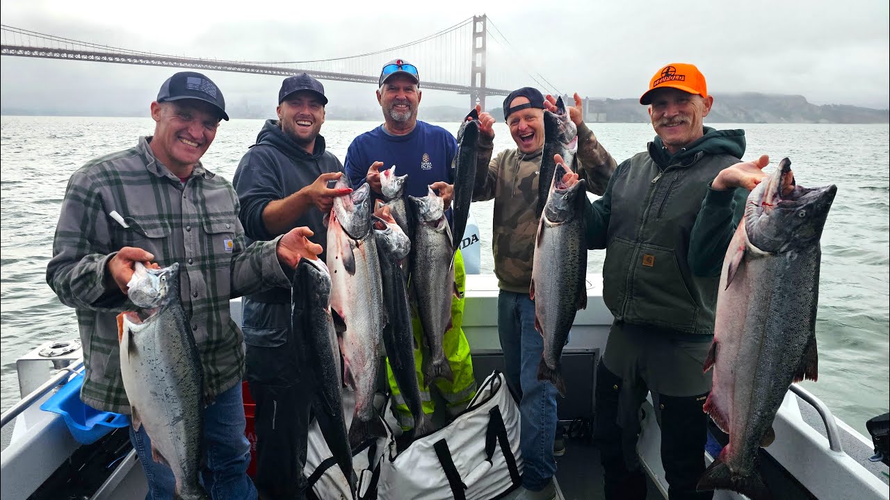 Salmon Fishing September Opener Outside the Golden Gate Bridge