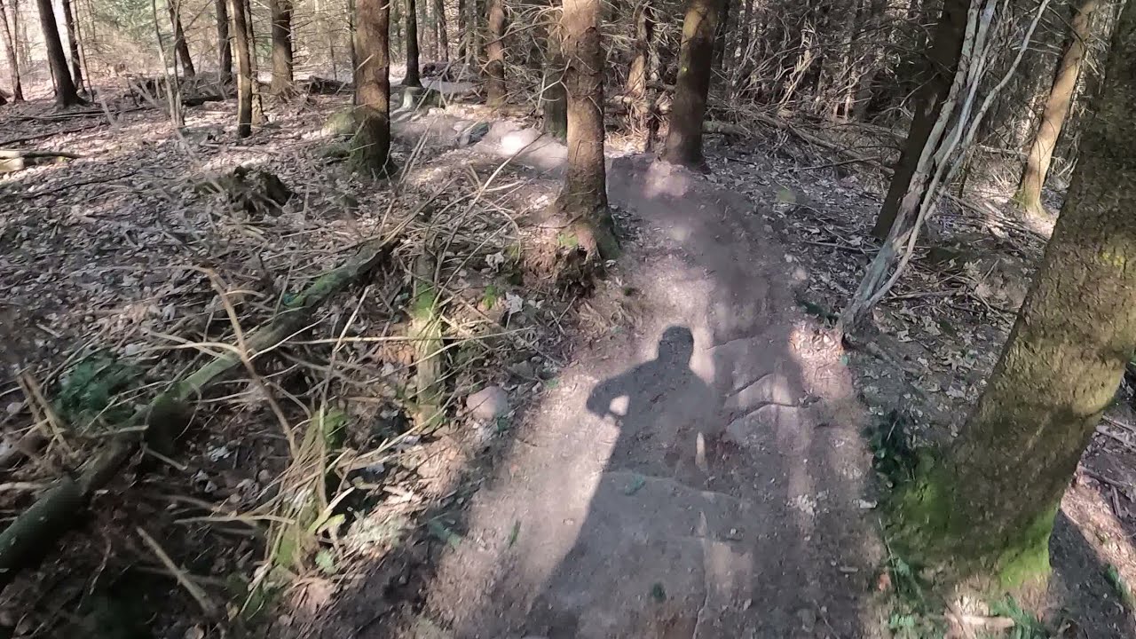 Heidelberg mtb Illumination of the Dark Stones in to Grave Digger in to Hardline