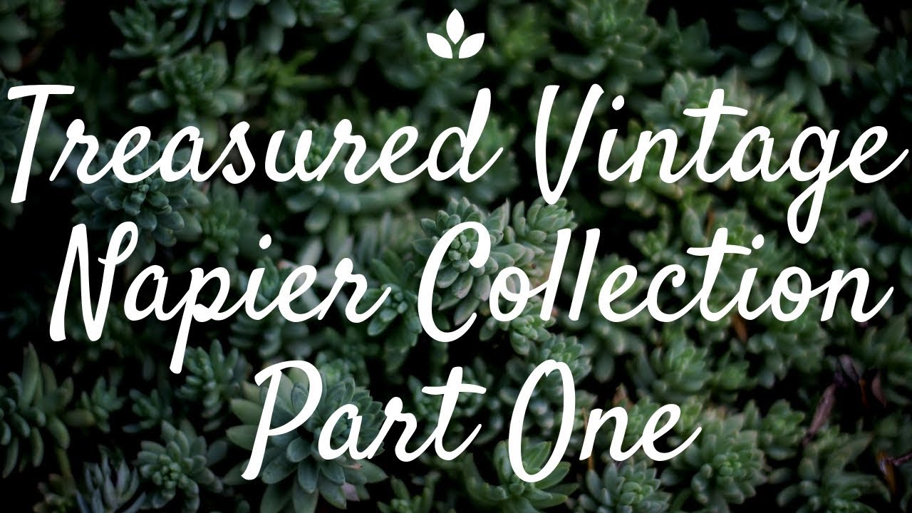 Treasured Vintage Napier Collection Part 1 - Book Pieces