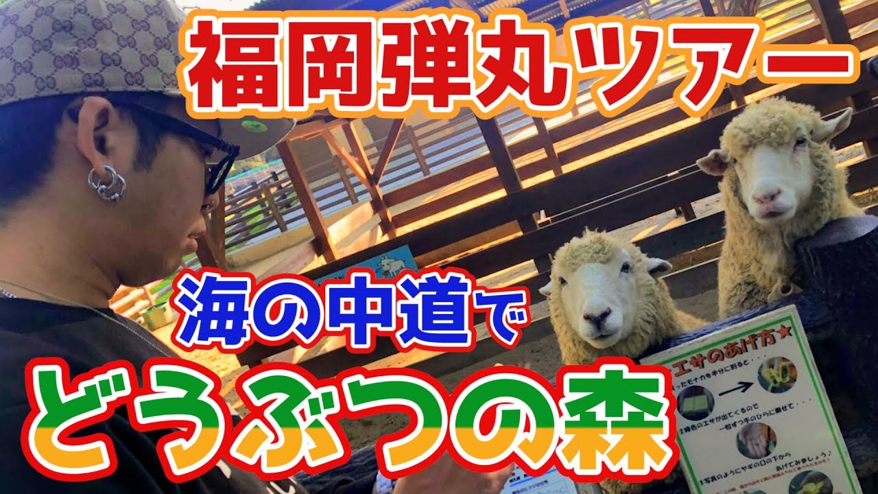 【福岡弾丸で海の中道海浜公園！】どうぶつの森で大興奮