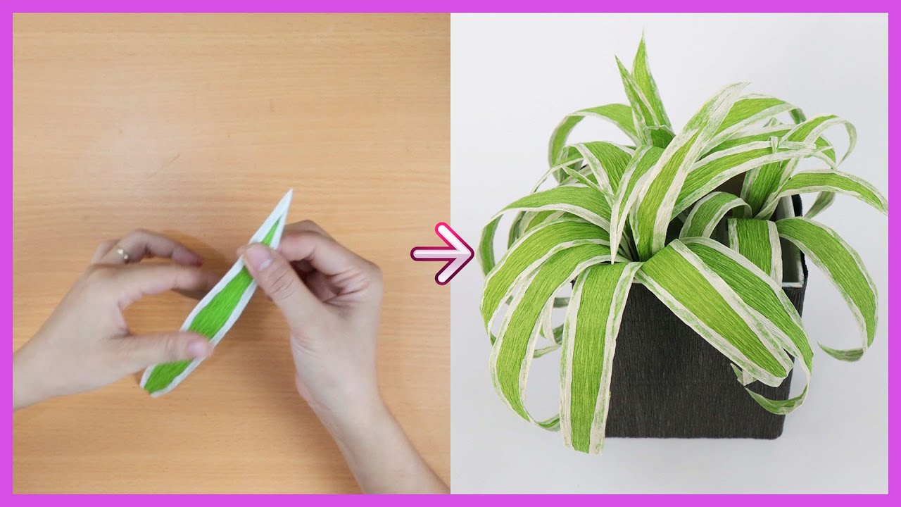 DIY Spider Plant With Crepe Paper /How To Make An Ornamental And Indoor Plants