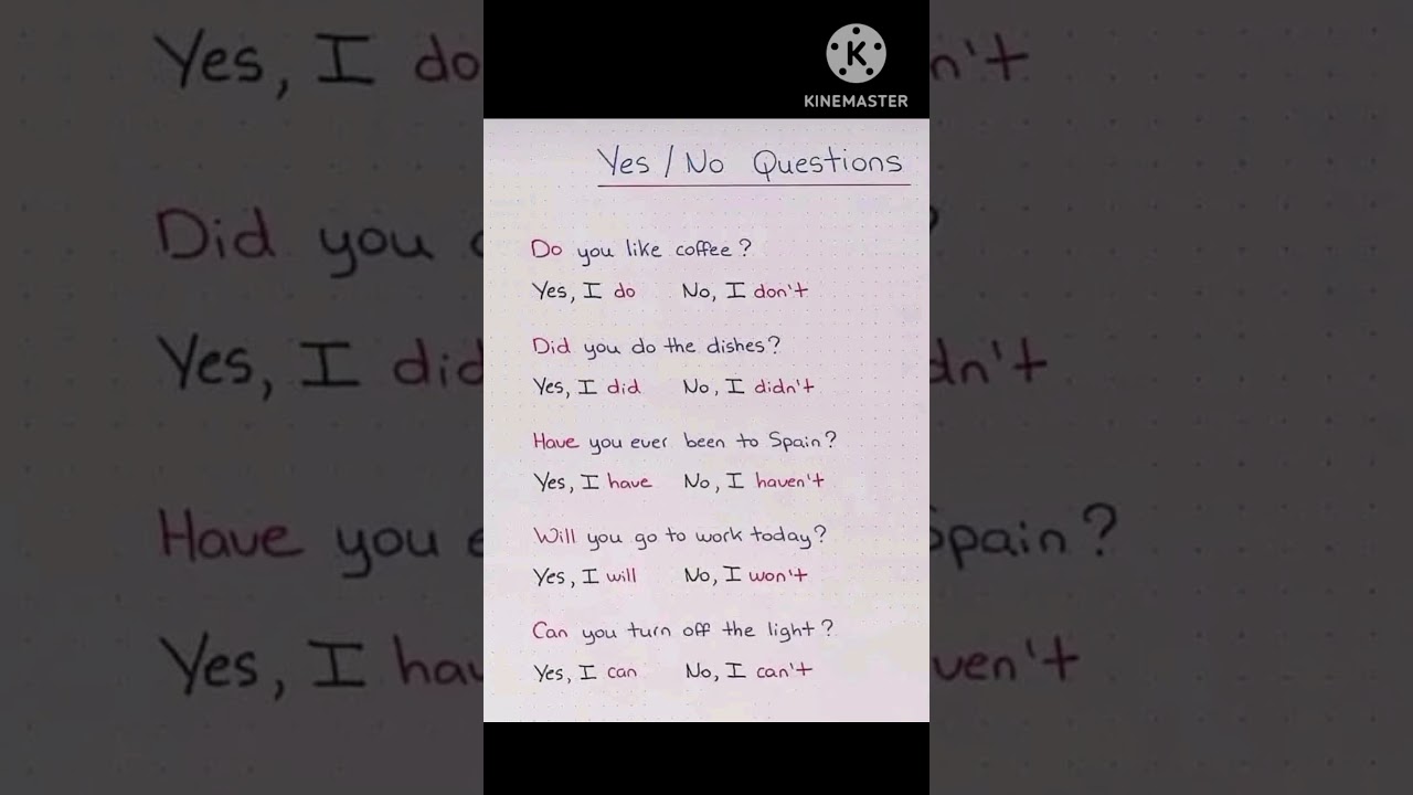 yes, no type questions