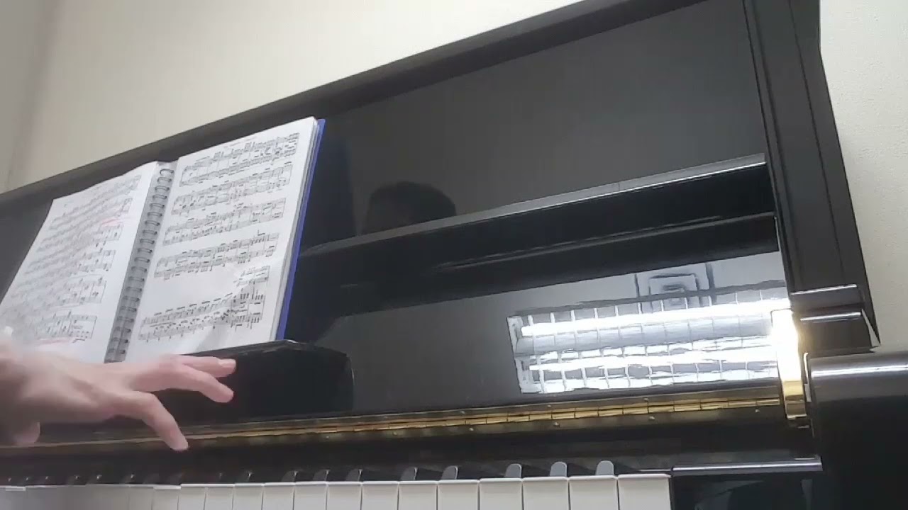[연습] Beethoven Symphony No. 5 1st Movement | by gmweek