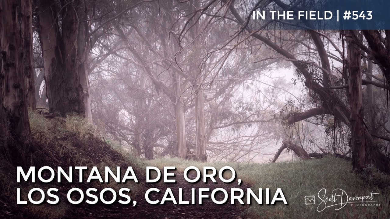 Montana de Oro, Los Osos, California - In The Field #543
