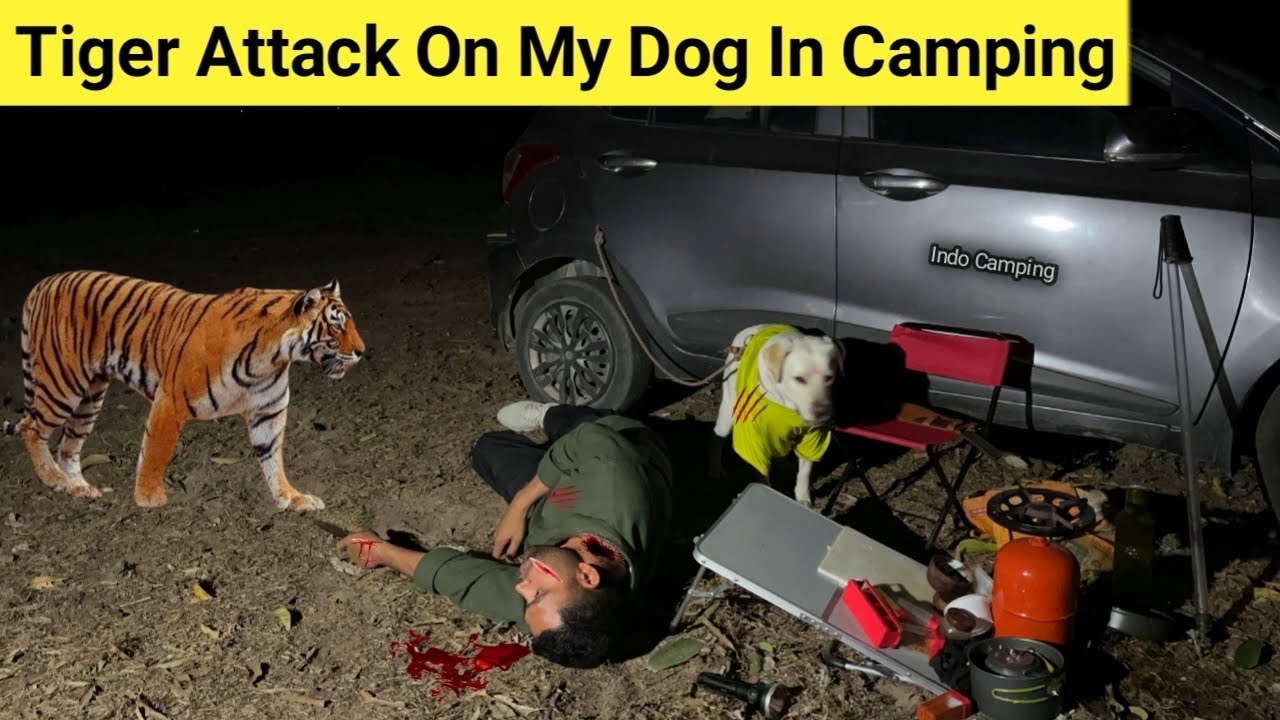Tiger 🐅Attack Me & My 🐕Dog Night Camping In Dangerous Forest Jim Corbett Indian Jungle Camping Video
